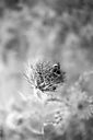 
								An image called d_31_12_800.jpg