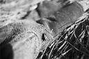 
								An image called d_35_16_800.jpg