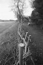 Slightly drunken hedge binding.