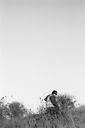 
								An image called d_39_35_800.jpg